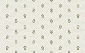 Buti Design Print