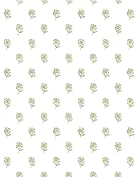 Buti Design Print