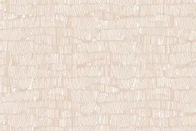 Texture