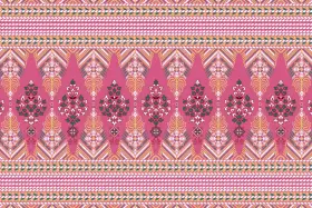 Patola Ikat Border Textile Pattern